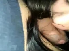 Cute Girlfriend Giving A Nice Blowjob