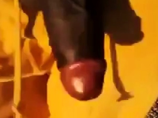 Big Black Cocks Outdoors
