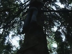 Adventure blowjob in the forest