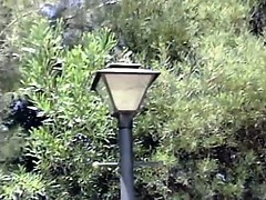 Classic porn video of blonde beauty fucked by stud