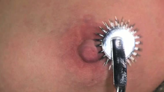 Boxt tied slut handling wartenberg pinwheels