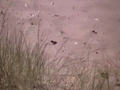 Sexy girls at the beach