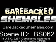 Gorgeous Sexy Hot Shemale Creampie In Ass