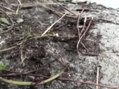 Heeled japanese slut pees