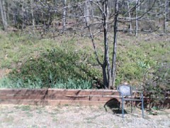 Skinny brunette in sunnies in white lingerie shows off her 