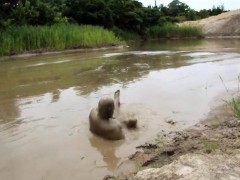 Kansas Quarry Mud July 3 2016