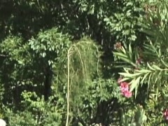 Sex starving babe Foxy fucking outside