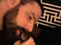 Black bear facializing bearded bottom