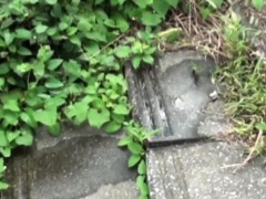 Kinky asians piss outside