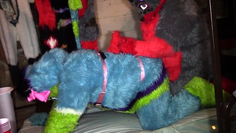 Furry Pegging Time