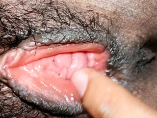 Burit Melayu Close Up Burit Melayu Close Up