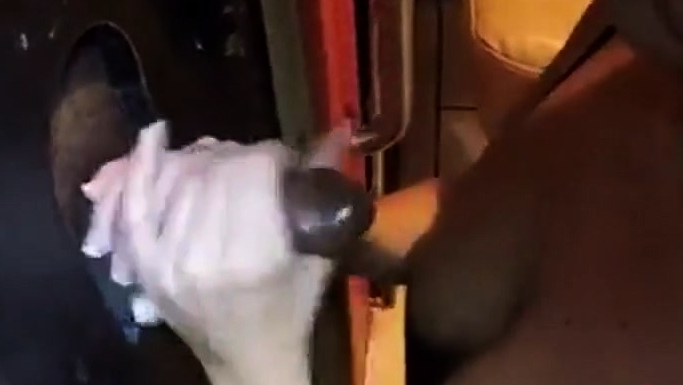 Girly milking some cocks at the gloryhole