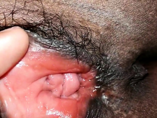 Burit Melayu Close Up Burit Melayu Close Up