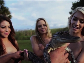 Lesbian Babes Touched Guys Big Aligator...