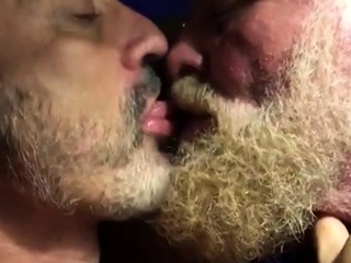 Hairy Bears Passionate Kissing...