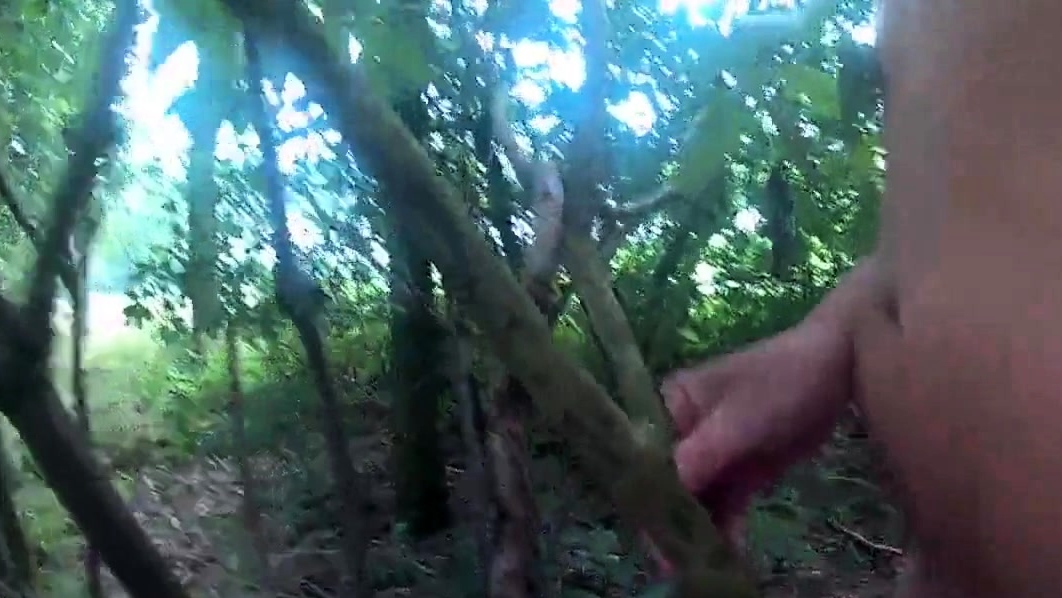 wanking in the cornfield and cumming in the woods