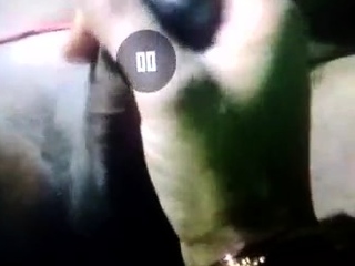 My Desi Indian Wife Handal Big Cock My Desi Indian Wife Handal Big Cock