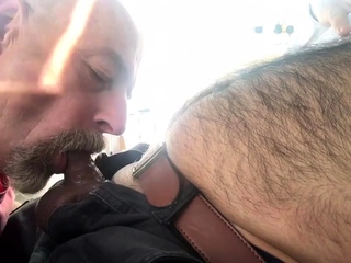 Dad Sucking Hairy Cub...