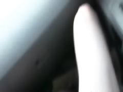 fashionable babes sucking dick in car