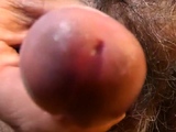 Mi pene