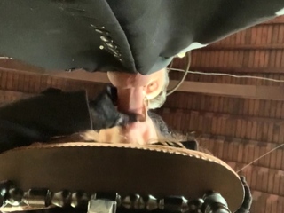 Slutty amateur blondes pov blowjob and sucking like a pro