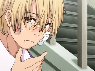 Swamp Stamp Anime Edition